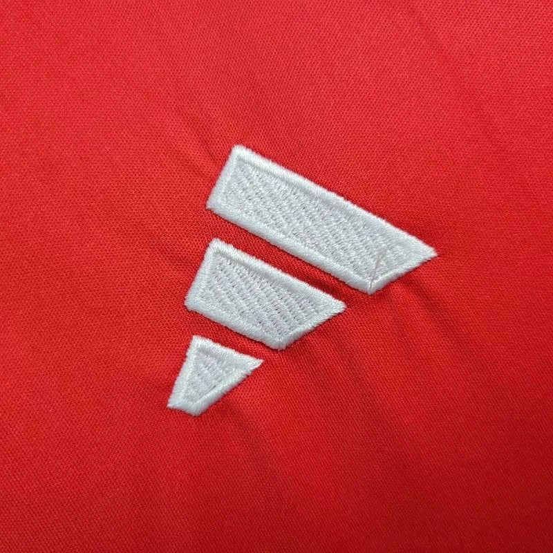 2024 Wales Home Kit - Image 2