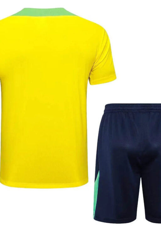 2024-2025 Brazil Training Set