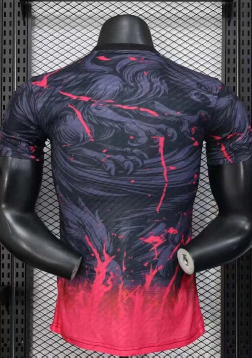 Japan "Phoenix Reborn" Limited Jersey