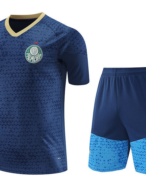 Palmeiras Training Set
