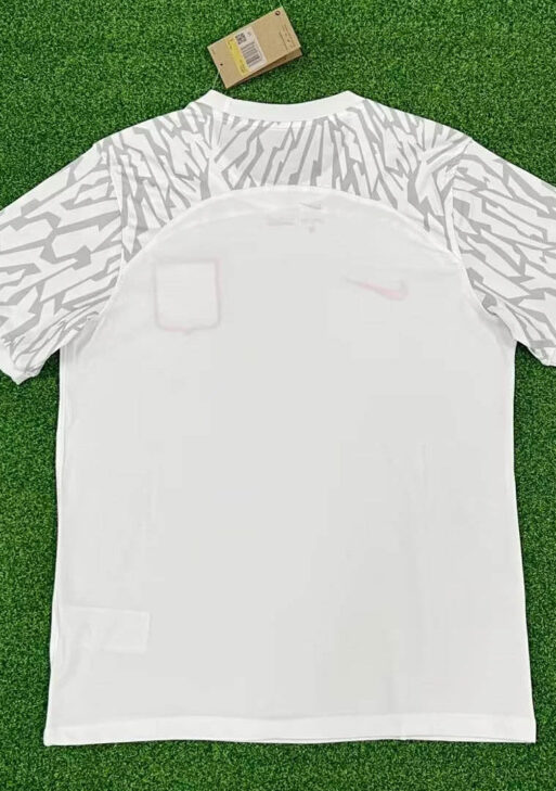 2022 FIFA World Cup Poland Home Jersey