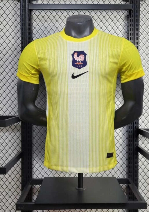 2025-2026 France Goalkeeper Kit