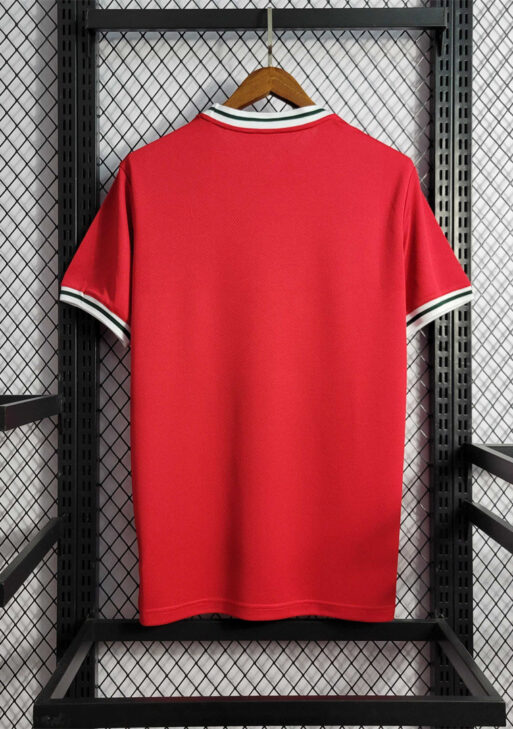 2022 Wales Home Kit
