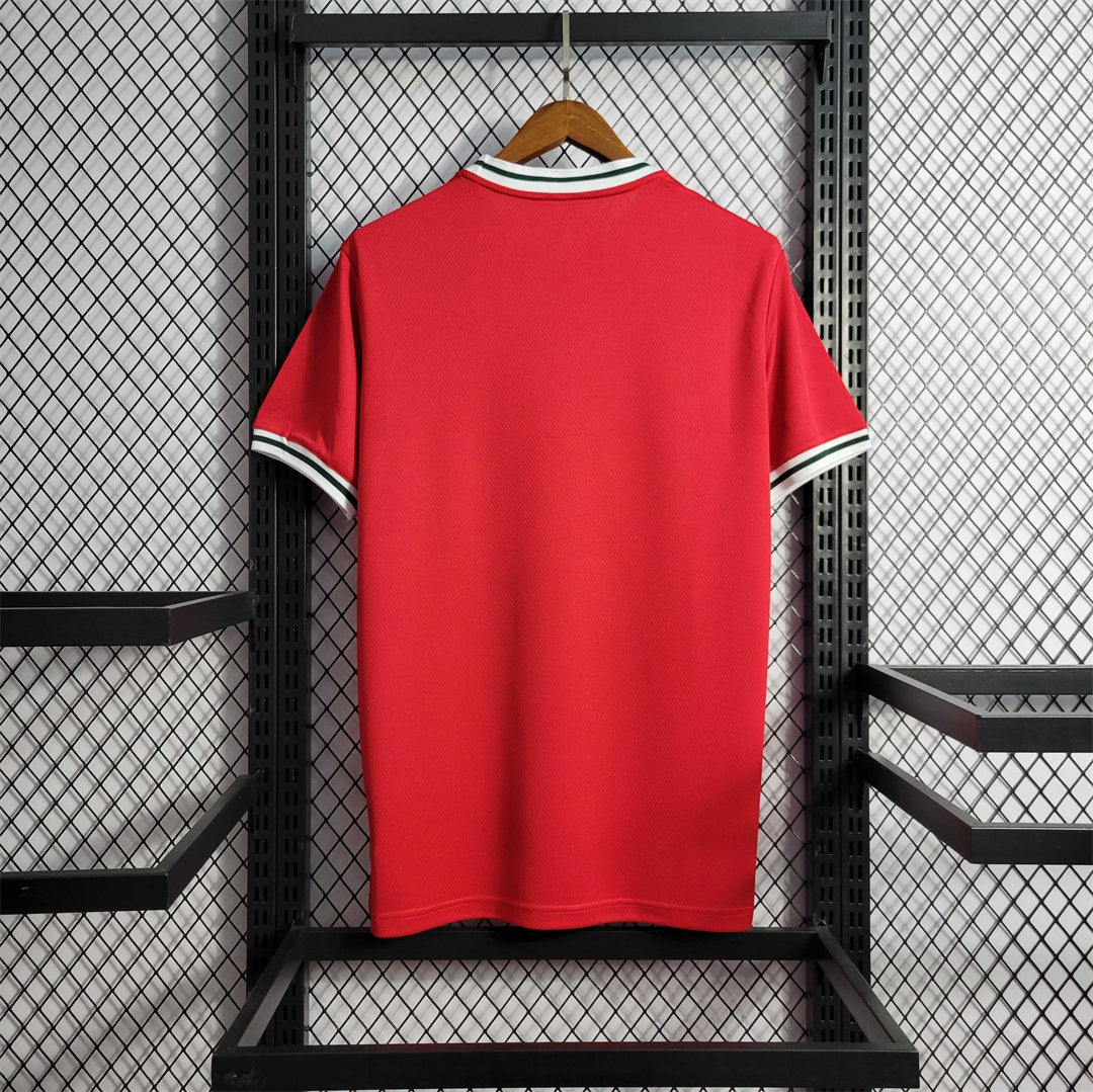 2022 Wales Home Kit - Image 1