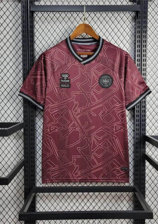2024 Denmark Limited Jersey