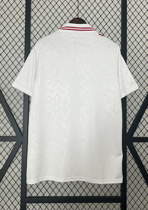 2024 Denmark Away Jersey