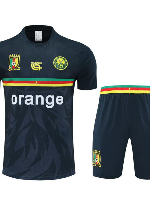 Cameroon Training Set
