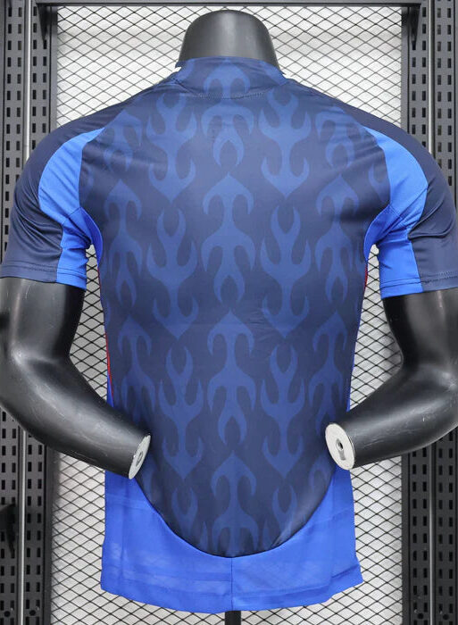 Japan 2022-2023 Home Kit
