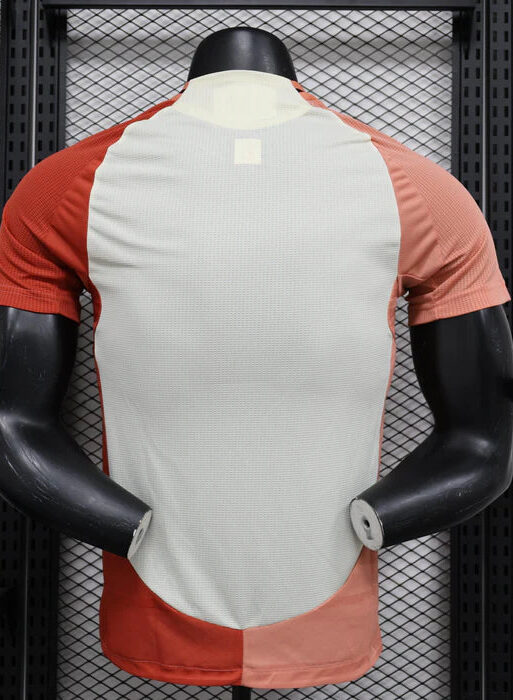 Olympique Lyonals 2024/2025 Third Kit