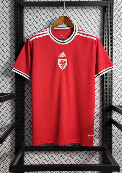 2022 Wales Home Kit