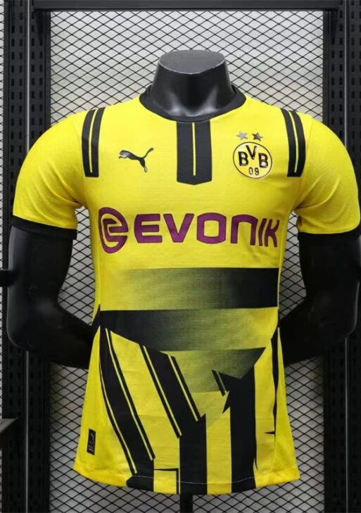 Dortmund 2024/2025 Cup Kit