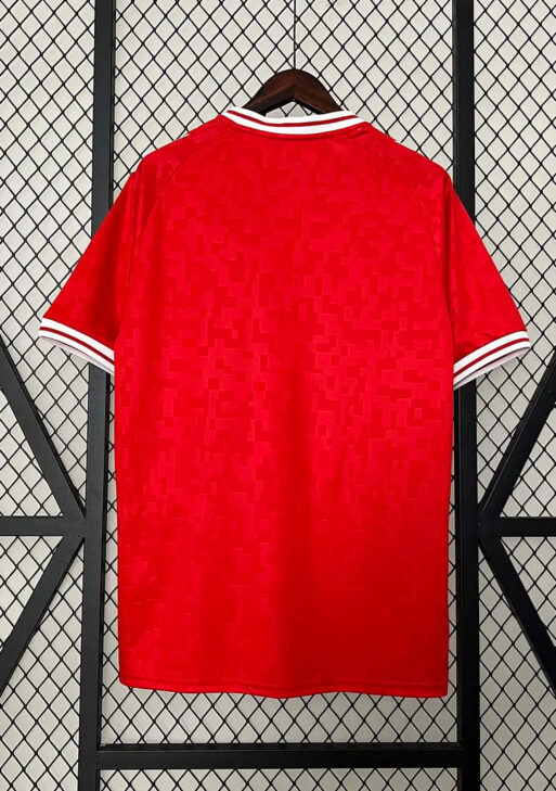 2024 Denmark Home Jersey