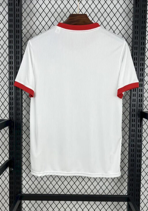 2025/2026 Benfica Anniversary Jersey
