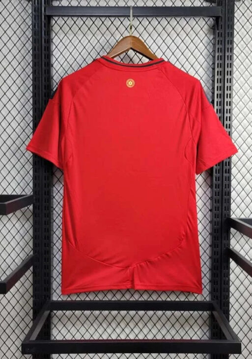 2024 Wales Home Kit