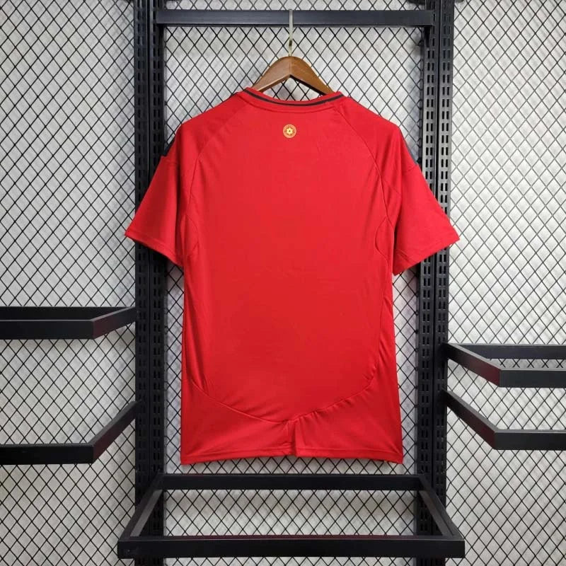 2024 Wales Home Kit - Image 1