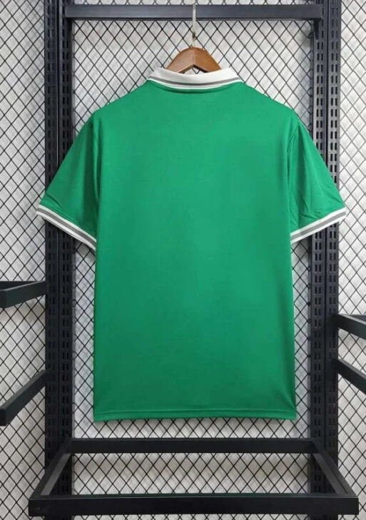 2024-2025 Nigeria Home Jersey