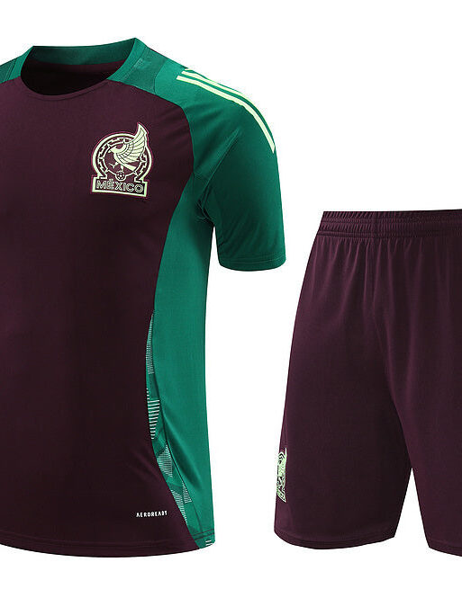 Mexico Training Set