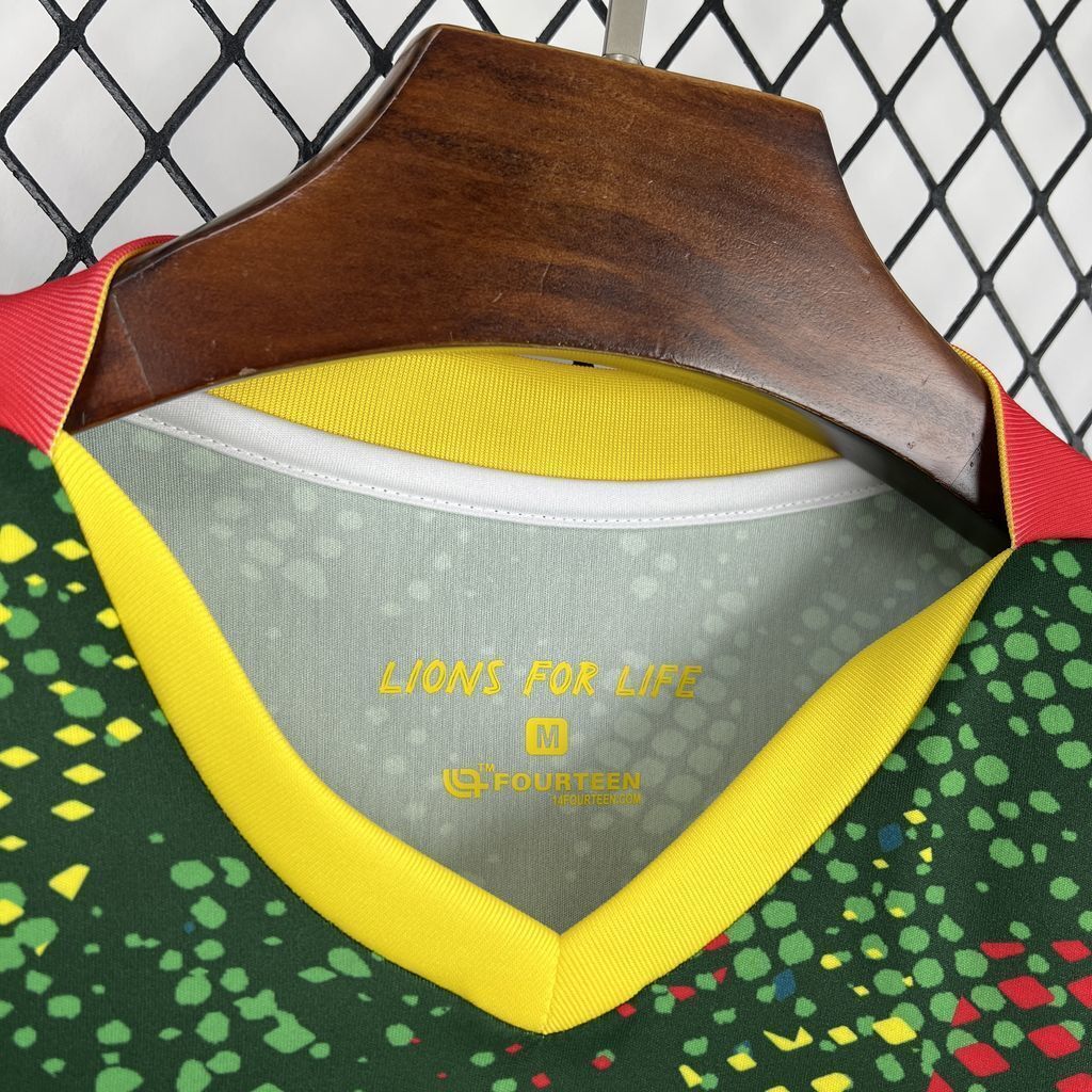 2026 Cameroon Home Kit - Image 5
