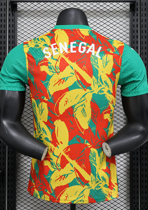 2024/2025 Senegal Pre-match Kit