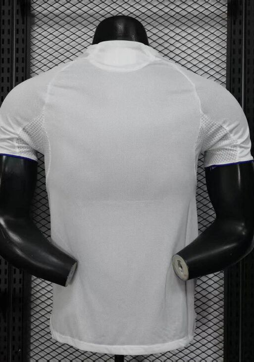 2025-2026 Lyon Home Kit
