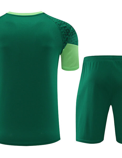 Palmeiras Training Set