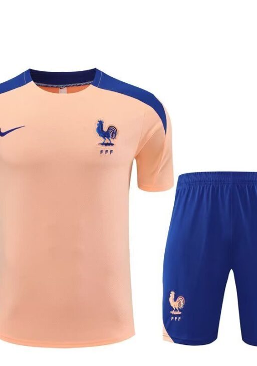 France Training Set
