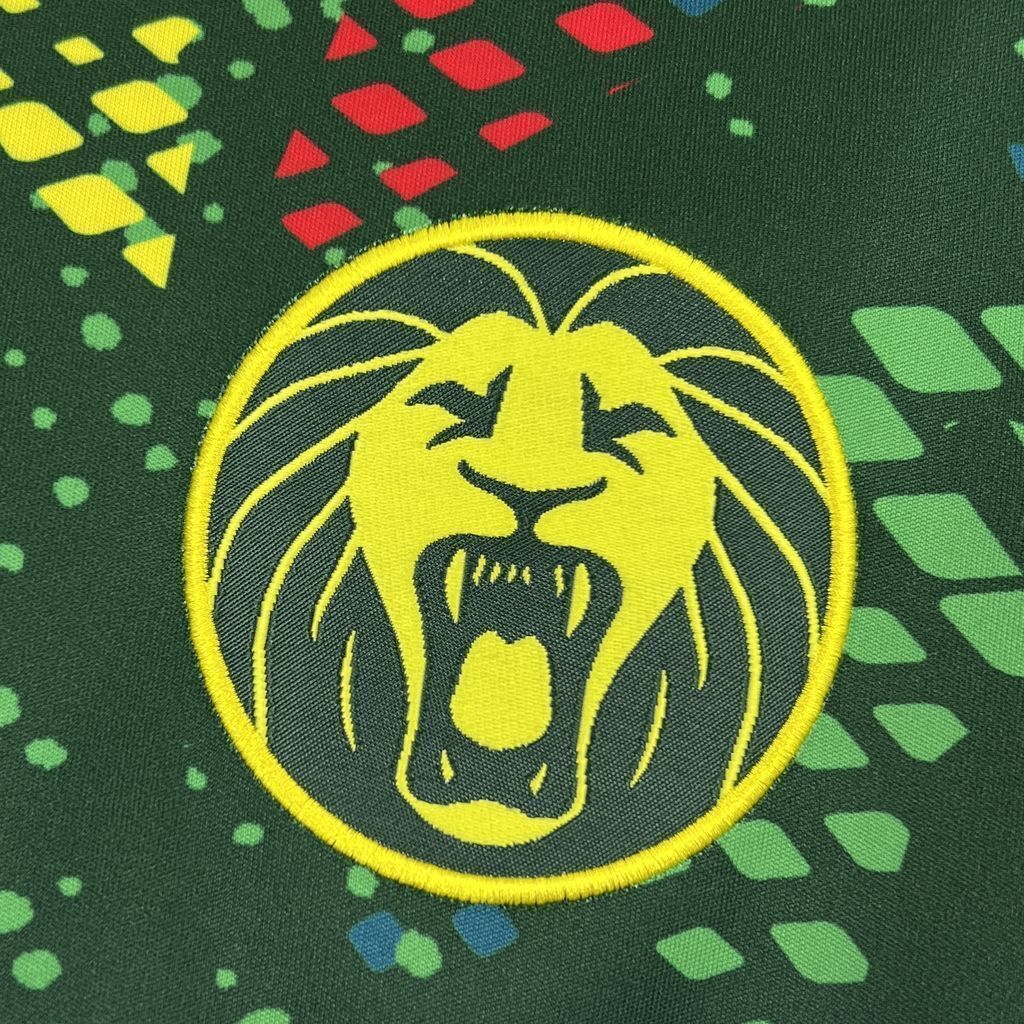 2026 Cameroon Home Kit - Image 3
