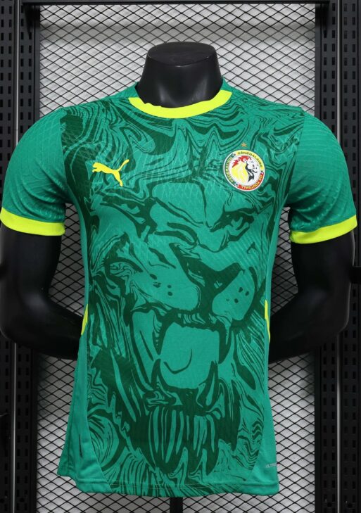 2024/2025 Senegal Away Kit