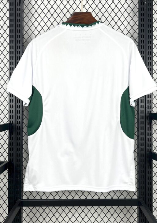 2026 South Africa Springbok Away Jersey