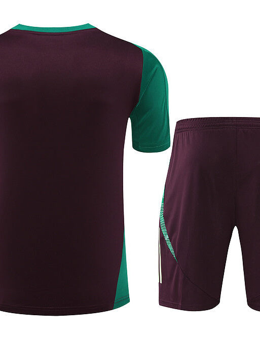Mexico Training Set