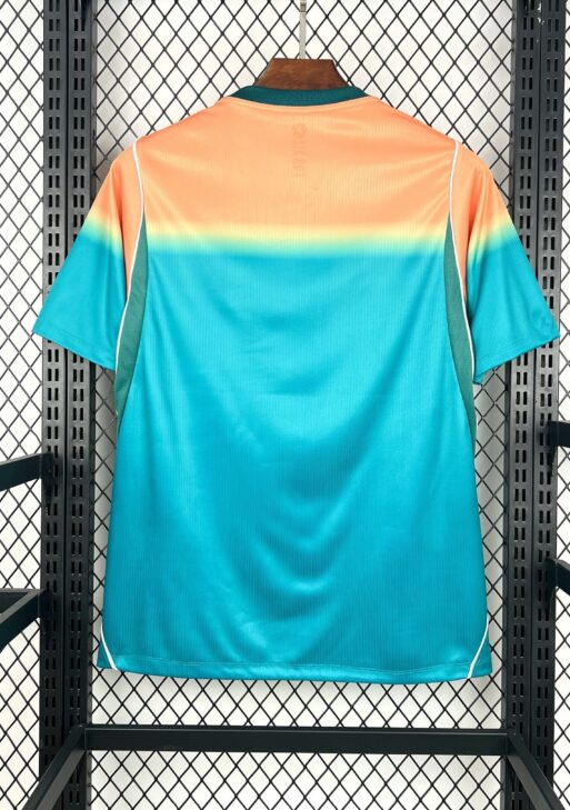 2026 Australia Away World Cup Kit Fan Version
