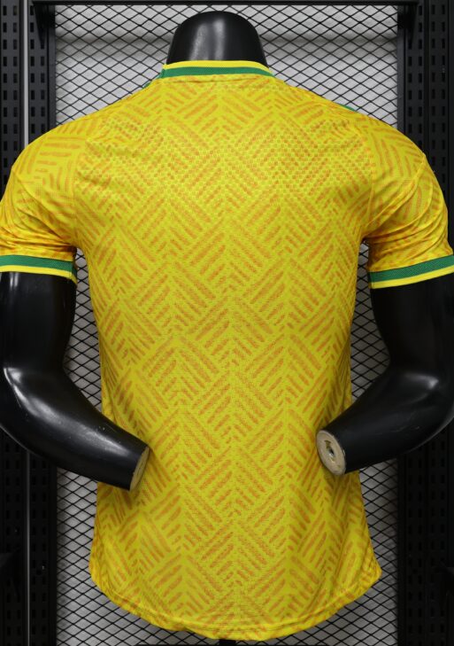 2026 South Africa Home World Cup Kit Player Version