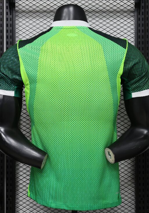 2026 Nigeria Home World Cup Kit Player Version