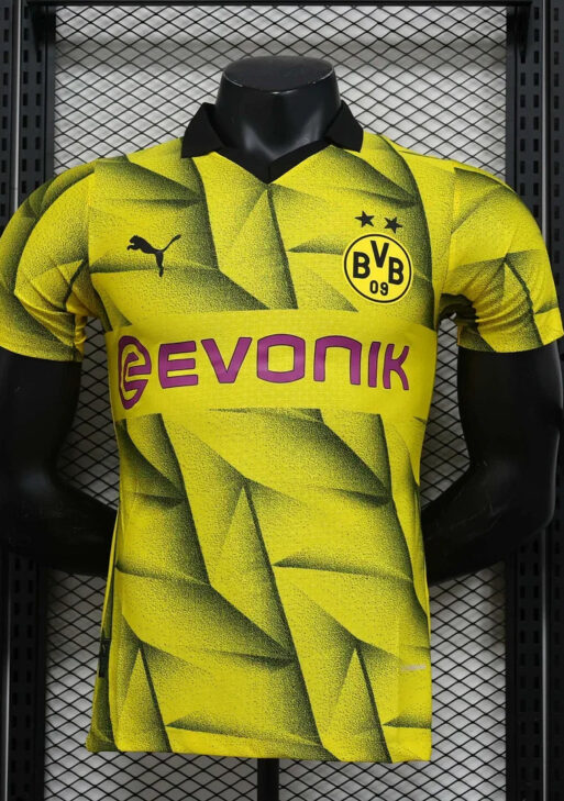 Dortmund 2023/2024 Away Kit