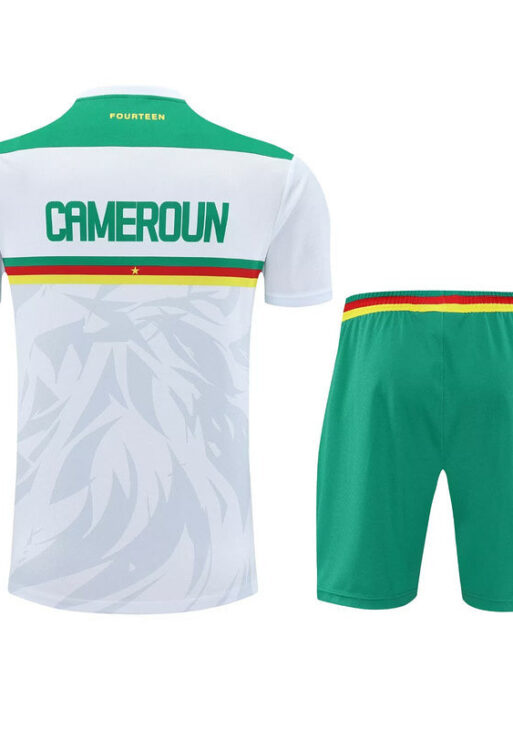 Cameroon Training Set