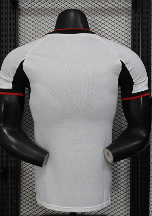 Japan "Fuji Spirit" Limited Jersey