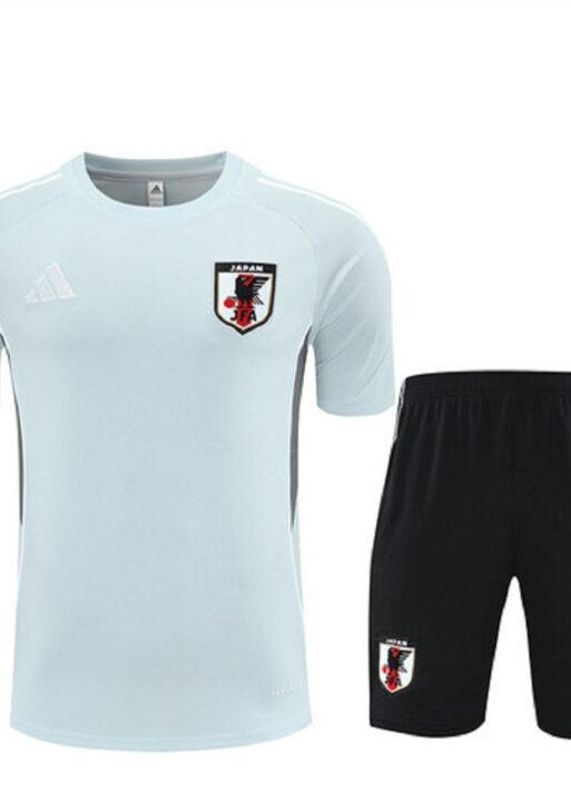 Japan Training Set