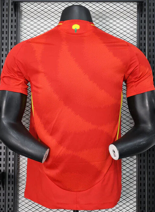 Spain 2024/2025 Home Kit
