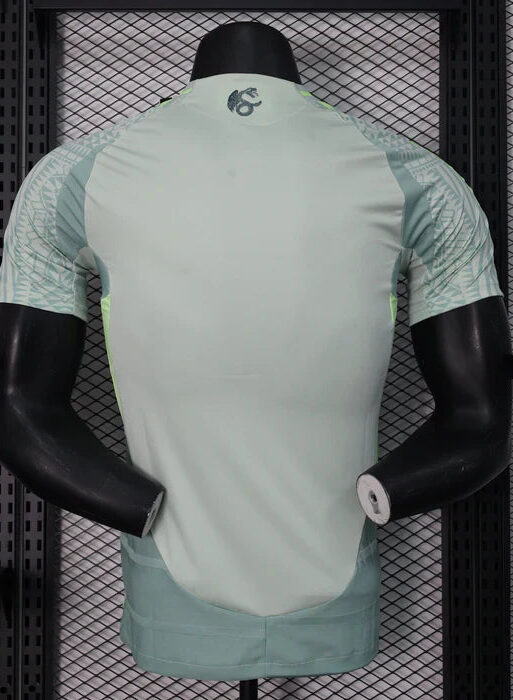 Mexico 2024/2025 Away Kit