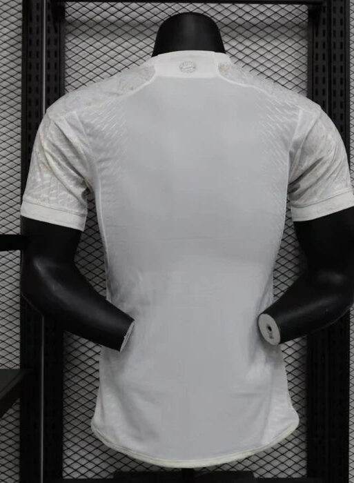 Bayern Munchen 2023/2024 Third Kit