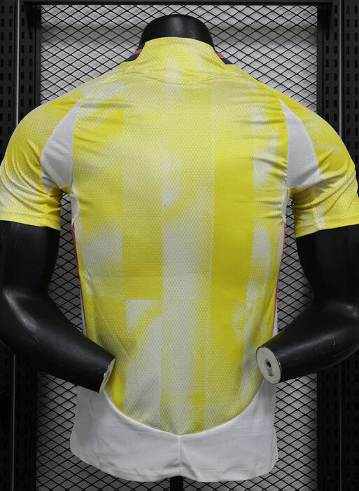 Juventus 2024/2025 Away Kit