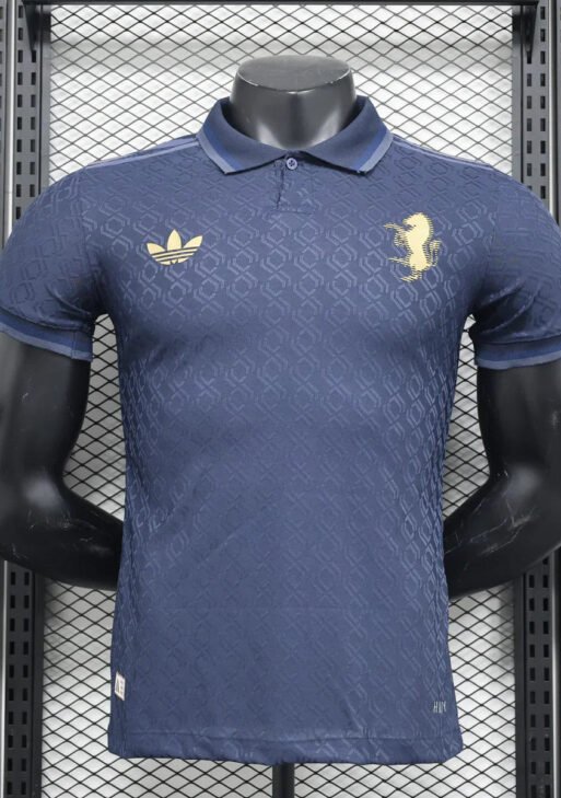 Juventus 2024/2025 Third Kit