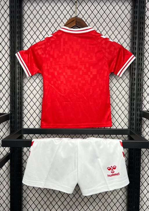 2024 Denmark Home Kit Kids Size