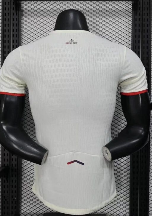 2025-2026 Lille LOSC Away Kit