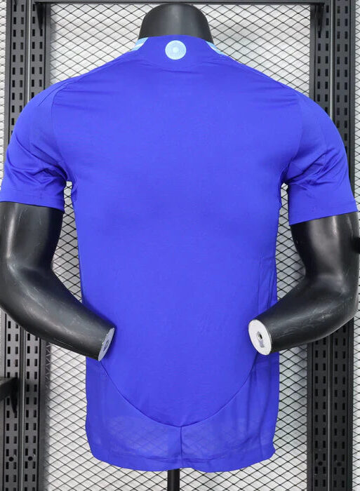 Argentina 2024/2025 Away Kit