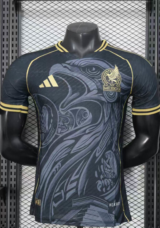 2025 Mexico Limited Jersey