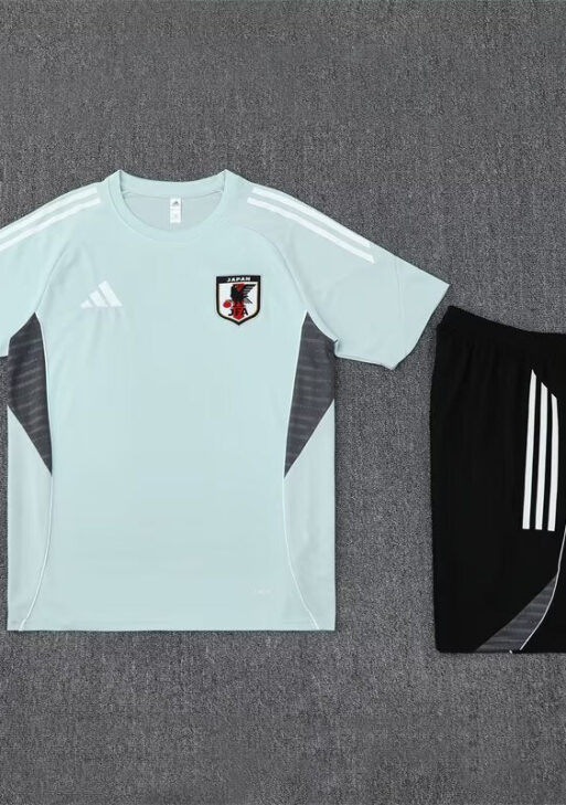 Japan Training Set
