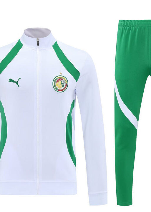 2025/2026 Senegal Green and White Tracksuit