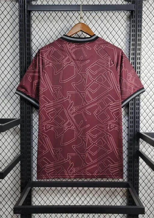 2024 Denmark Limited Jersey