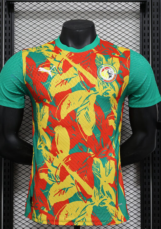 2024/2025 Senegal Pre-match Kit